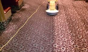 Inglewood carpet cleaners